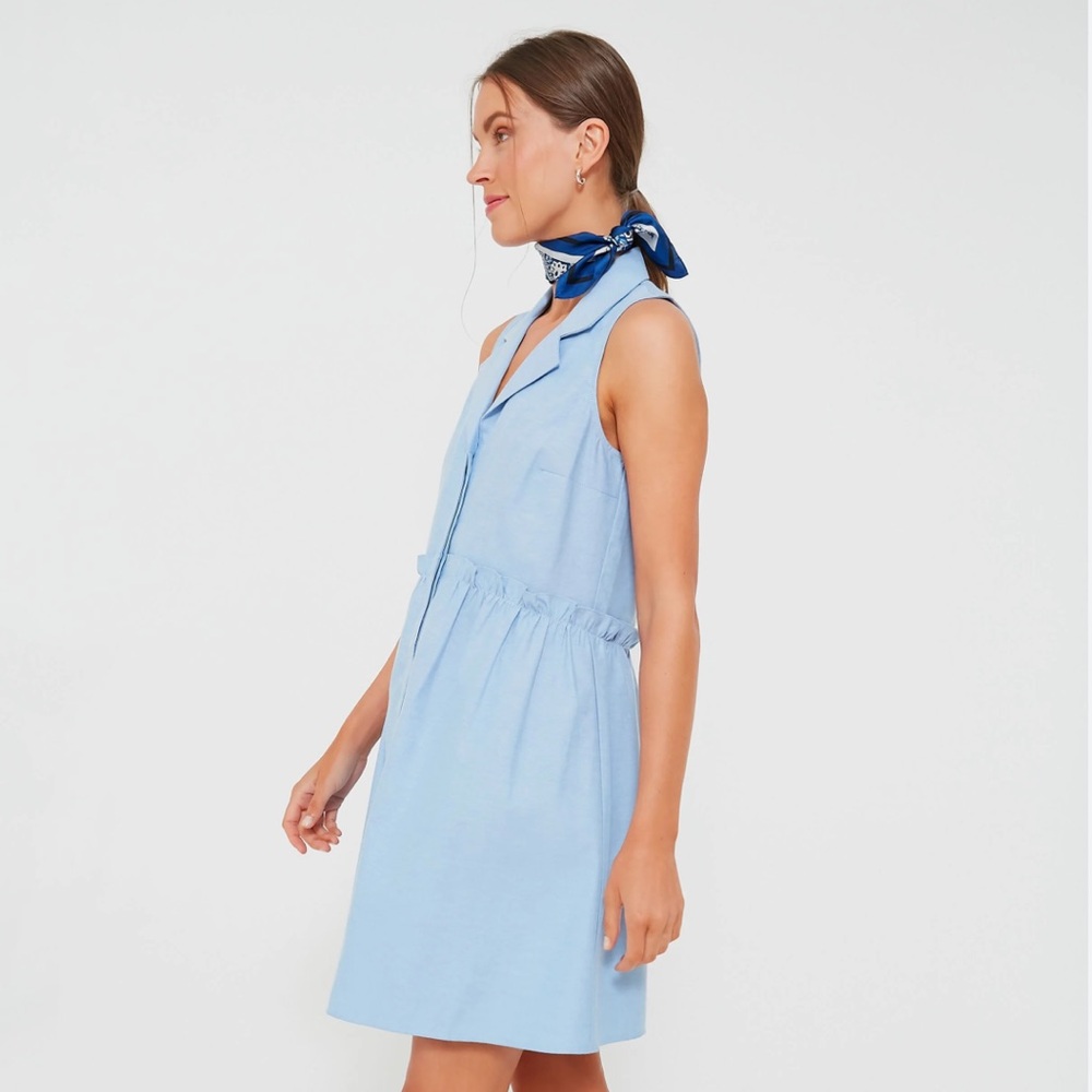 Tuckernuck Sleeveless Royal Shirtdress